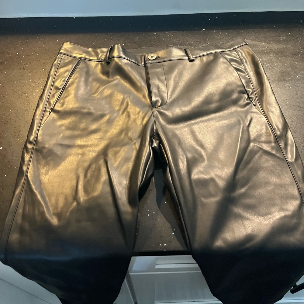 Zara Pleather Pants